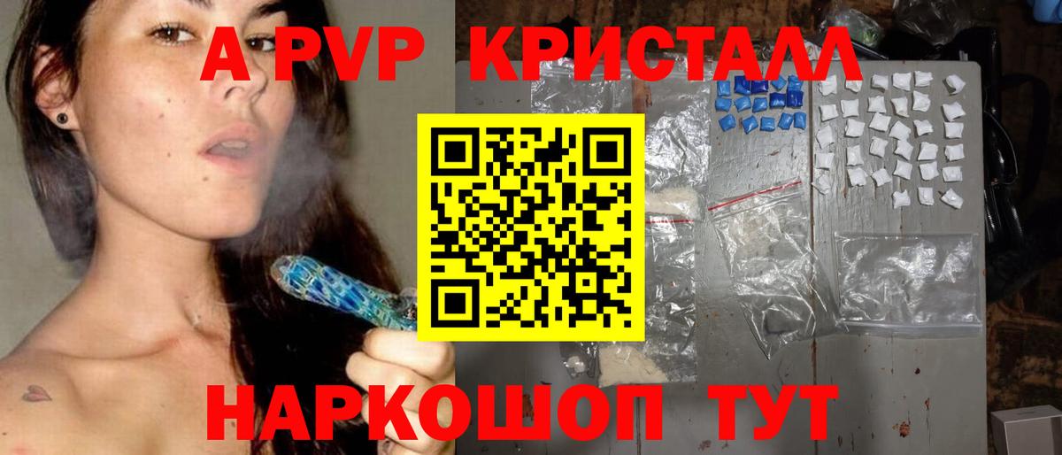 Alfa_PVP СК КРИС Малгобек