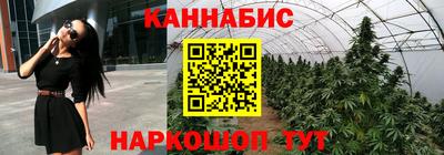 стафф Сланцы