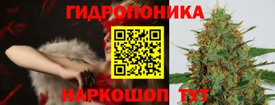 стафф Сланцы