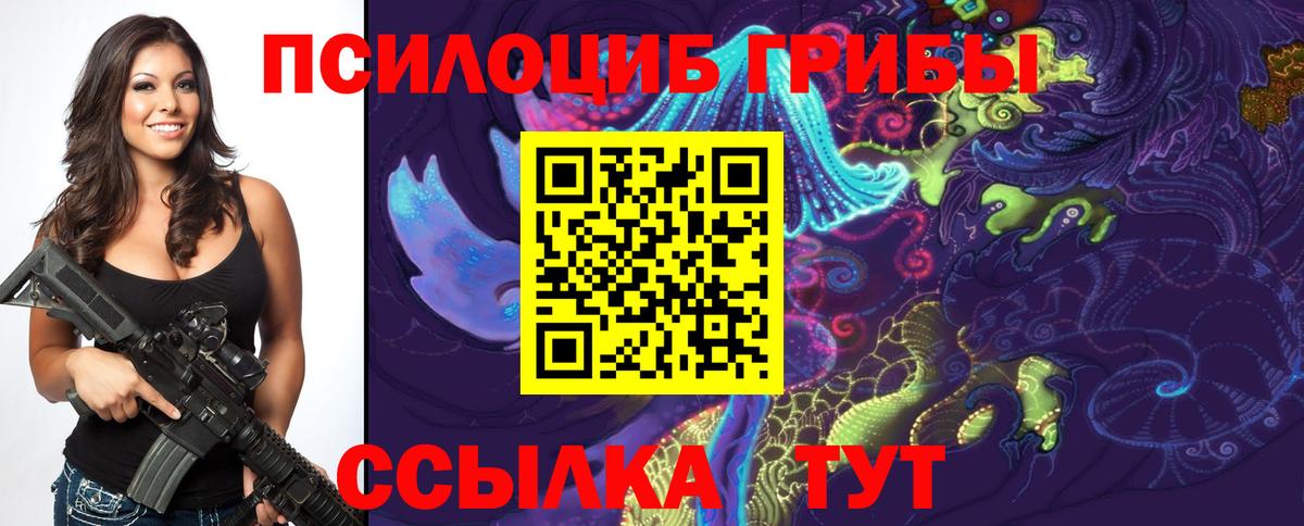 Малгобек  Псилоцибиновые грибы GOLDEN TEACHER  Псилоцибиновые грибы ЛСД  Вход с VPN 