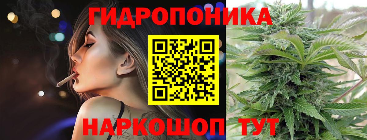 Малгобек  Каннабис семена  Конопля индика  Вход с VPN 